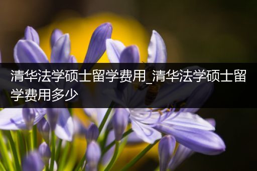 清华法学硕士留学费用_清华法学硕士留学费用多少
