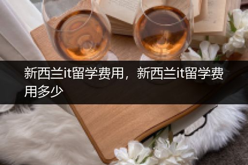 新西兰it留学费用，新西兰it留学费用多少