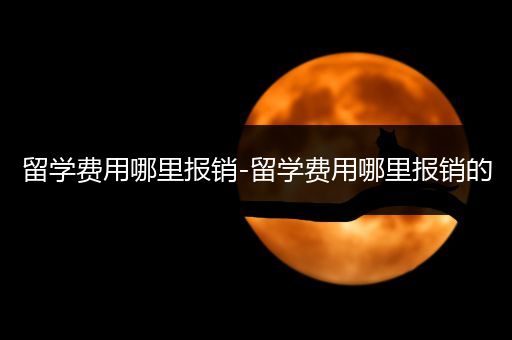 留学费用哪里报销-留学费用哪里报销的