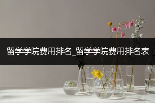 留学学院费用排名_留学学院费用排名表