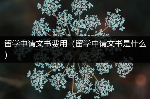 留学申请文书费用（留学申请文书是什么）