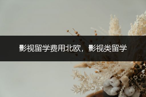影视留学费用北欧，影视类留学