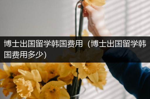 博士出国留学韩国费用（博士出国留学韩国费用多少）