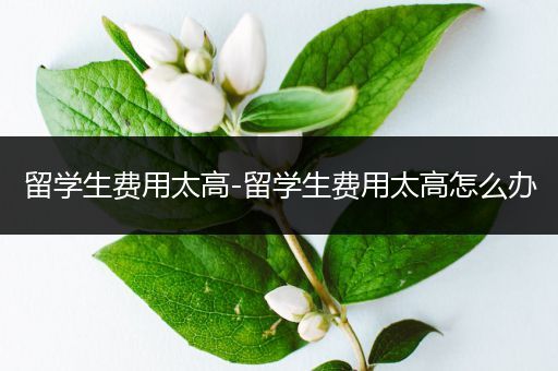 留学生费用太高-留学生费用太高怎么办