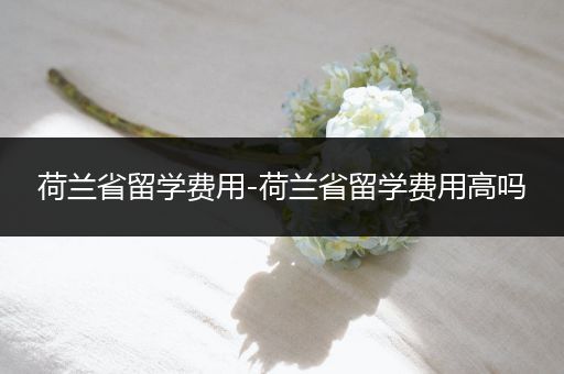 荷兰省留学费用-荷兰省留学费用高吗