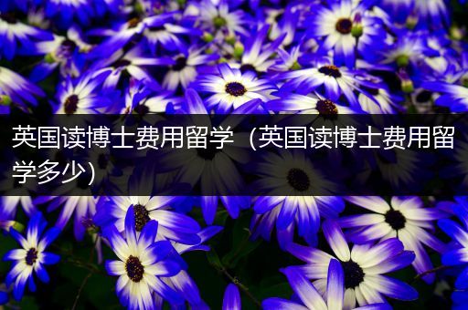 英国读博士费用留学（英国读博士费用留学多少）