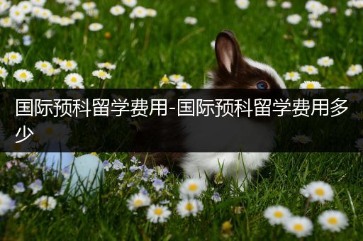国际预科留学费用-国际预科留学费用多少