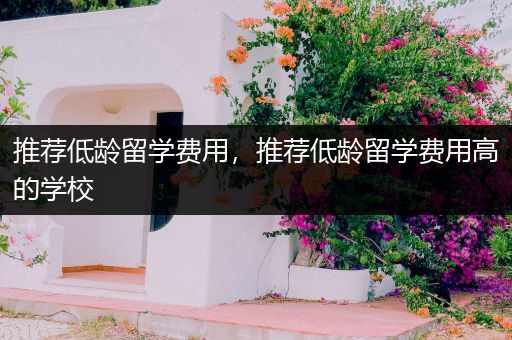 推荐低龄留学费用，推荐低龄留学费用高的学校