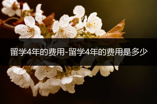 留学4年的费用-留学4年的费用是多少