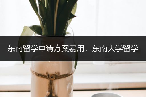东南留学申请方案费用，东南大学留学