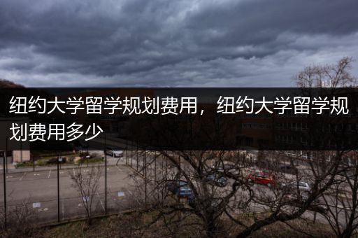 纽约大学留学规划费用，纽约大学留学规划费用多少
