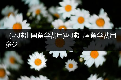 （环球出国留学费用)环球出国留学费用多少