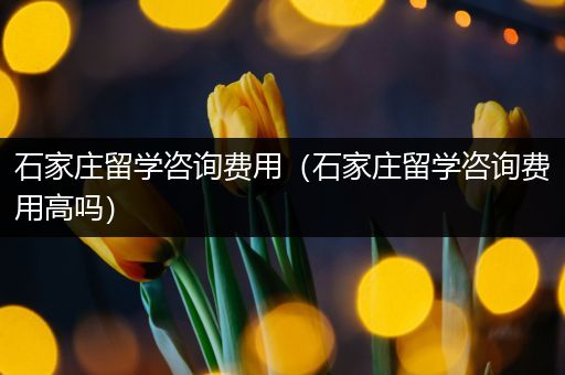 石家庄留学咨询费用（石家庄留学咨询费用高吗）