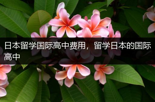 日本留学国际高中费用，留学日本的国际高中