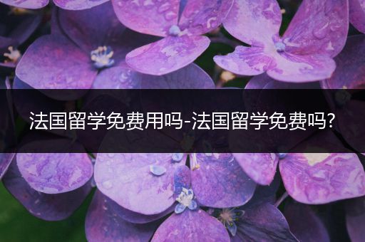 法国留学免费用吗-法国留学免费吗?