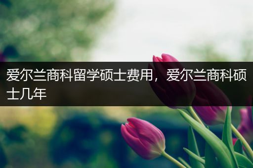 爱尔兰商科留学硕士费用，爱尔兰商科硕士几年