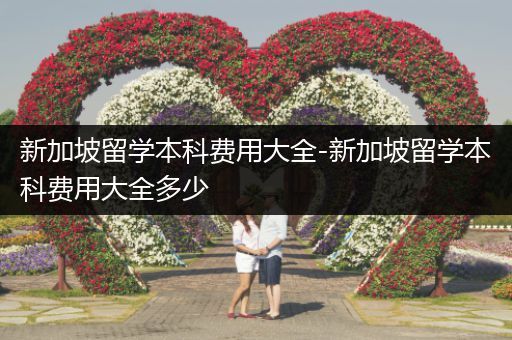 新加坡留学本科费用大全-新加坡留学本科费用大全多少