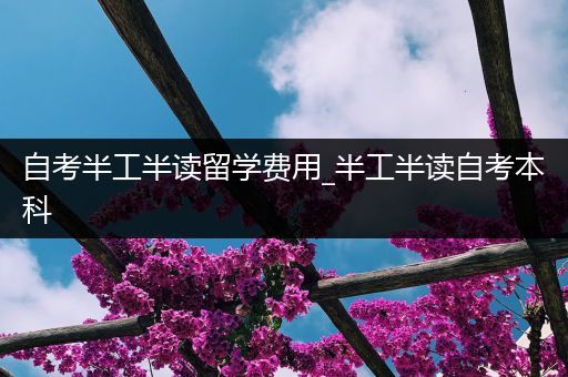 自考半工半读留学费用_半工半读自考本科