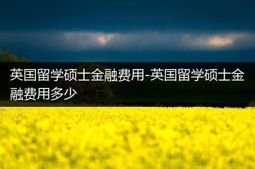 英国留学硕士金融费用-英国留学硕士金融费用多少
