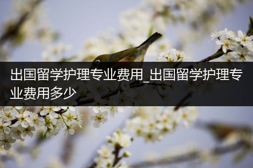出国留学护理专业费用_出国留学护理专业费用多少