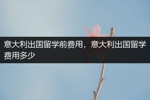 意大利出国留学前费用，意大利出国留学费用多少