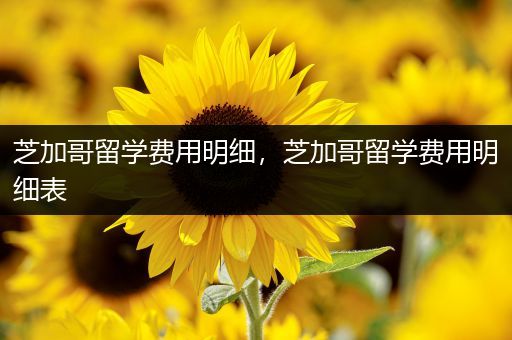芝加哥留学费用明细，芝加哥留学费用明细表