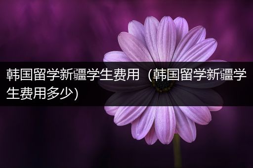 韩国留学新疆学生费用（韩国留学新疆学生费用多少）