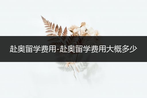 赴奥留学费用-赴奥留学费用大概多少