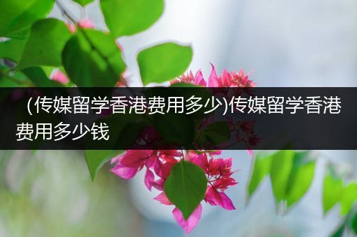 （传媒留学香港费用多少)传媒留学香港费用多少钱
