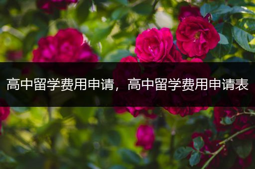 高中留学费用申请，高中留学费用申请表