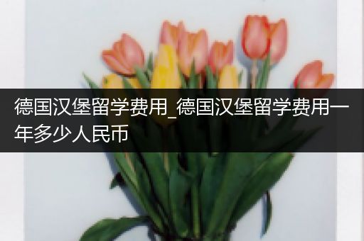 德国汉堡留学费用_德国汉堡留学费用一年多少人民币