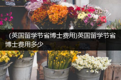 （英国留学节省博士费用)英国留学节省博士费用多少