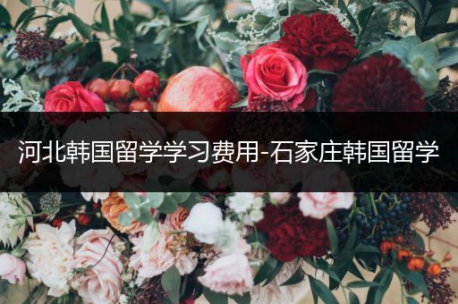 河北韩国留学学习费用-石家庄韩国留学