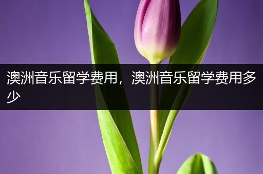 澳洲音乐留学费用，澳洲音乐留学费用多少