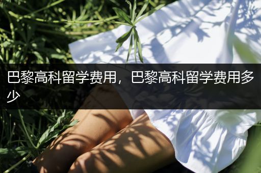 巴黎高科留学费用，巴黎高科留学费用多少