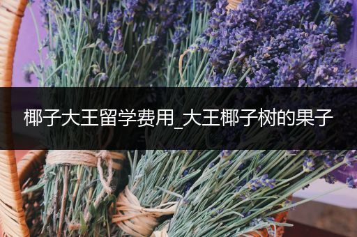 椰子大王留学费用_大王椰子树的果子