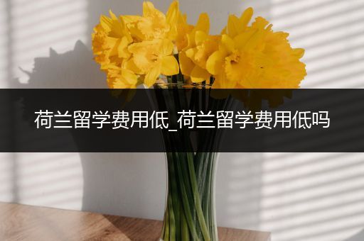 荷兰留学费用低_荷兰留学费用低吗