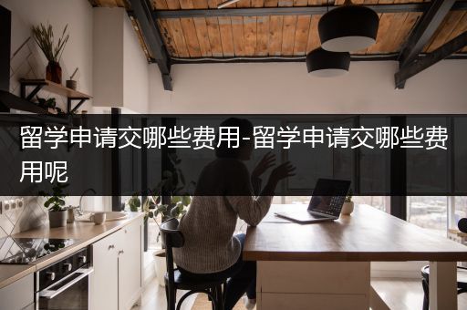 留学申请交哪些费用-留学申请交哪些费用呢