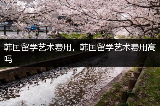 韩国留学艺术费用，韩国留学艺术费用高吗