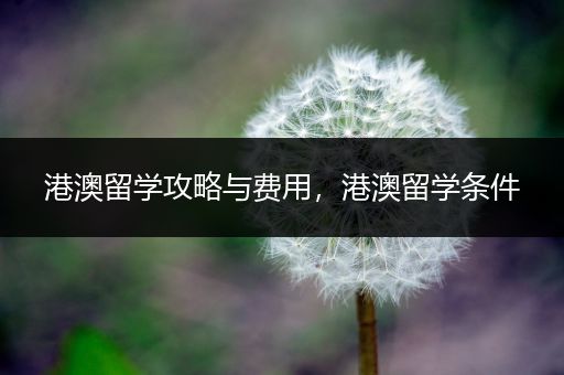 港澳留学攻略与费用，港澳留学条件