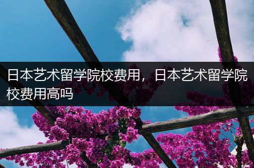 日本艺术留学院校费用，日本艺术留学院校费用高吗