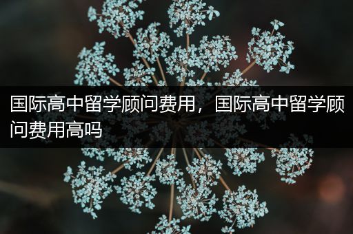 国际高中留学顾问费用，国际高中留学顾问费用高吗
