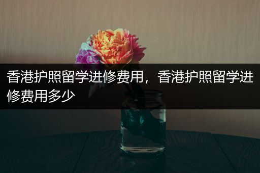 香港护照留学进修费用，香港护照留学进修费用多少