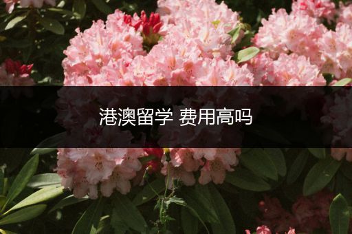 港澳留学 费用高吗