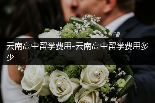 云南高中留学费用-云南高中留学费用多少