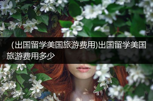 （出国留学美国旅游费用)出国留学美国旅游费用多少