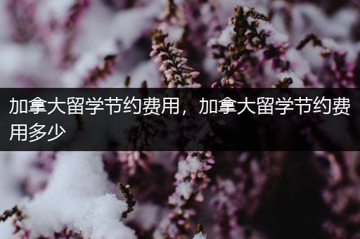 加拿大留学节约费用，加拿大留学节约费用多少