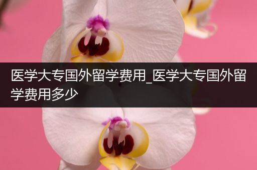 医学大专国外留学费用_医学大专国外留学费用多少
