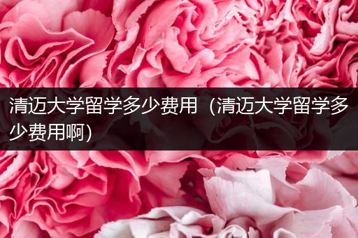 清迈大学留学多少费用（清迈大学留学多少费用啊）