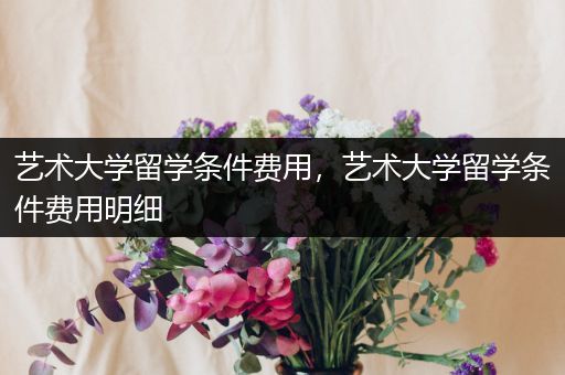 艺术大学留学条件费用，艺术大学留学条件费用明细